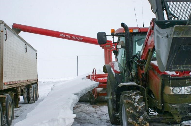 2026 Renn RGU1218CD Grain Bagger