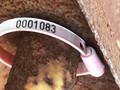  New Holland 717R Miscellaneous