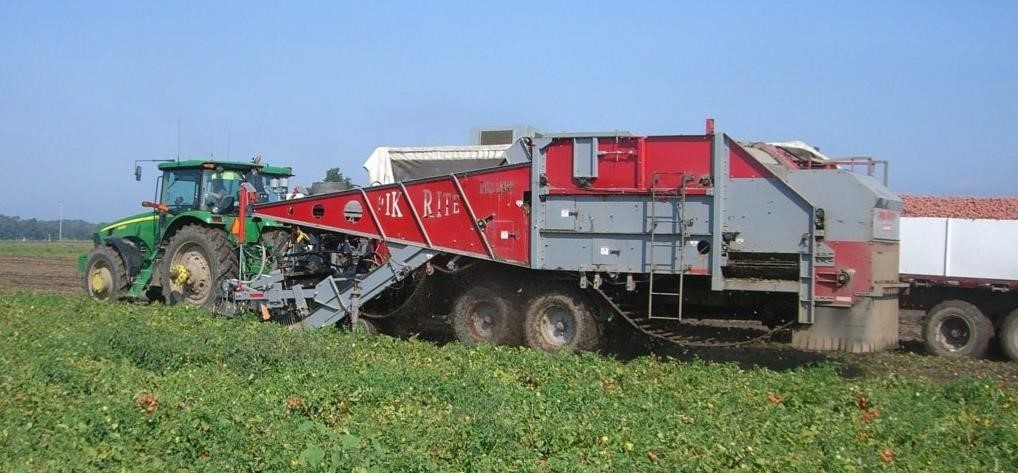 2026 Pik Rite HC290 Vegetable Equipment