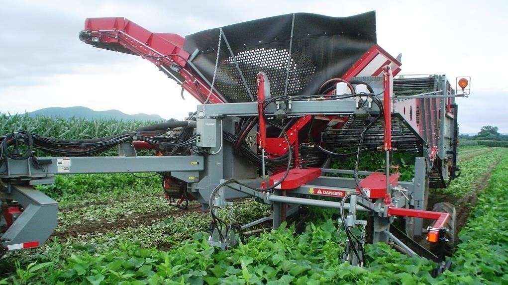 2026 Pik Rite 3100 Vegetable Equipment