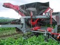 2026 Pik Rite 3100 Vegetable Equipment