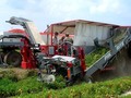 2026 Pik Rite 190 Vegetable Equipment