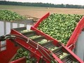 2026 Pik Rite 3000 Vegetable Equipment