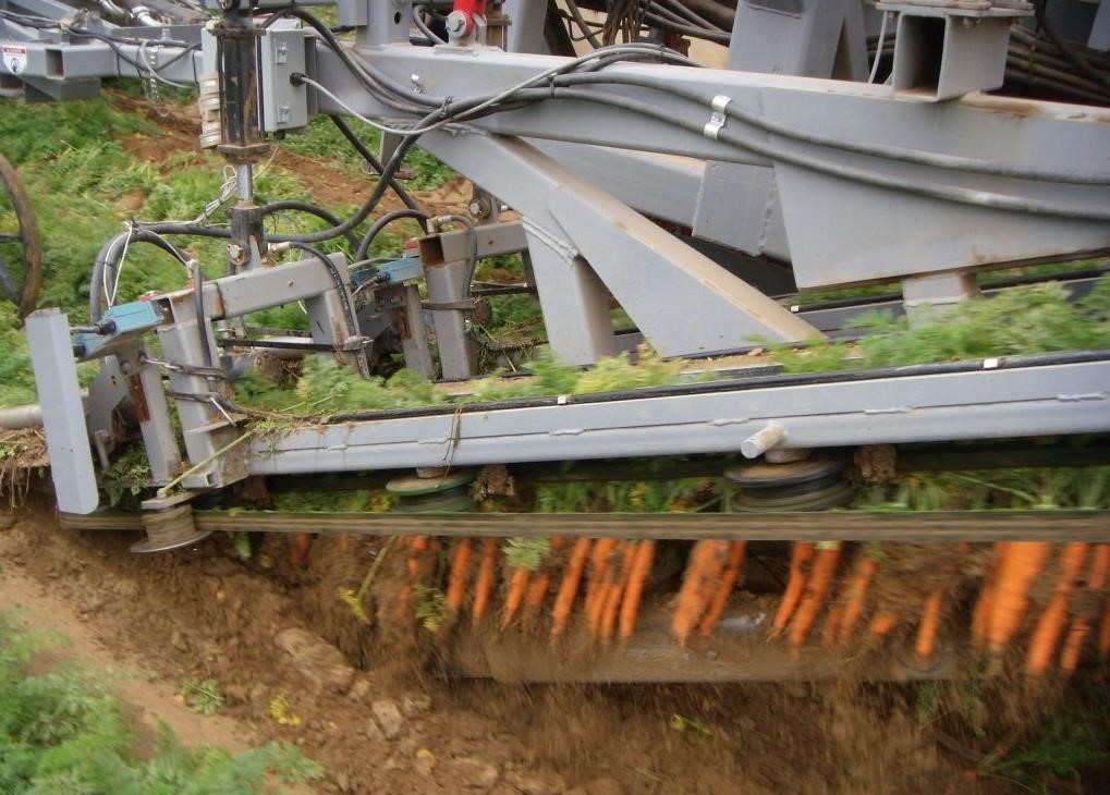 2026 Pik Rite 8020 Vegetable Equipment - $Call | Machinery Pete