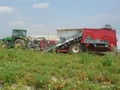 2026 Pik Rite 190 Vegetable Equipment