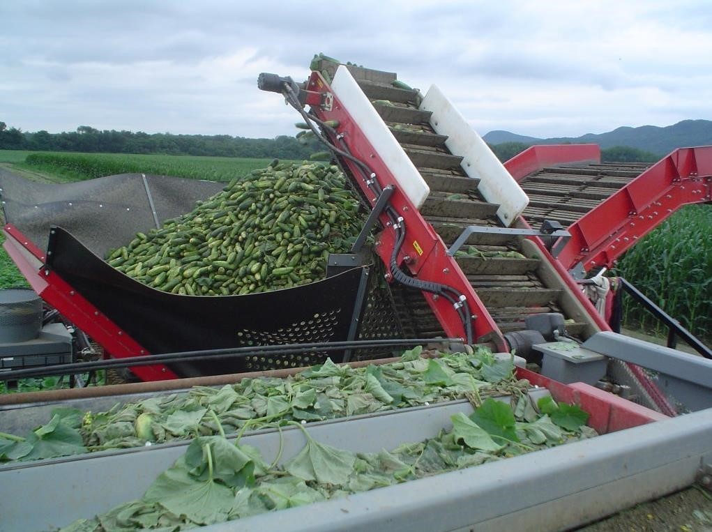 2026 Pik Rite 3100 Vegetable Equipment