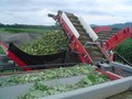 2026 Pik Rite 3100 Vegetable Equipment