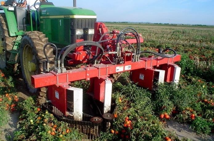 2026 Pik Rite 2000 Orchard / Vineyard Equipment