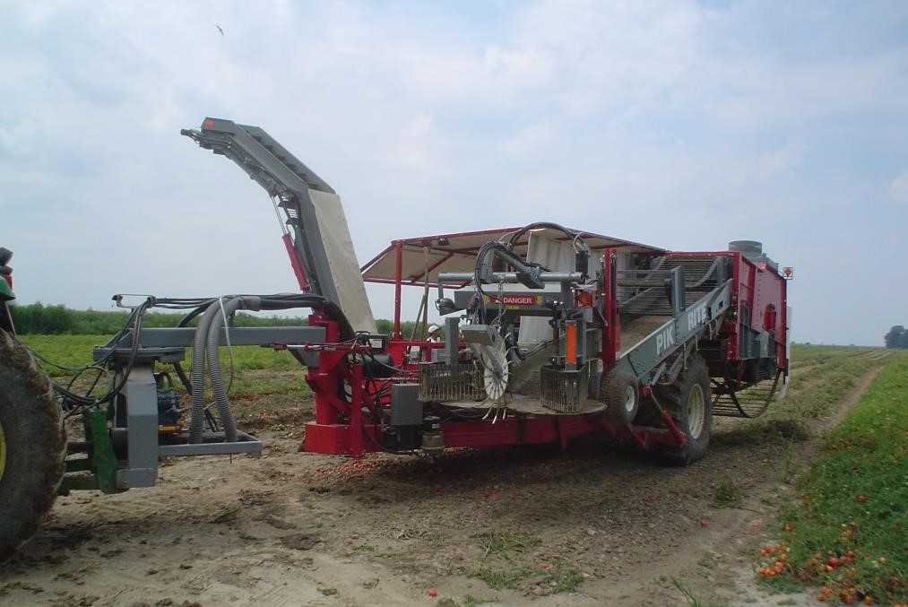 2026 Pik Rite 190 Vegetable Equipment