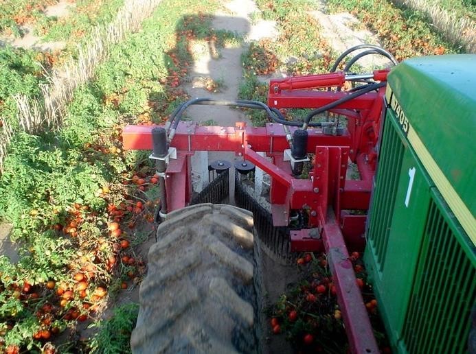 2026 Pik Rite 2000 Orchard / Vineyard Equipment