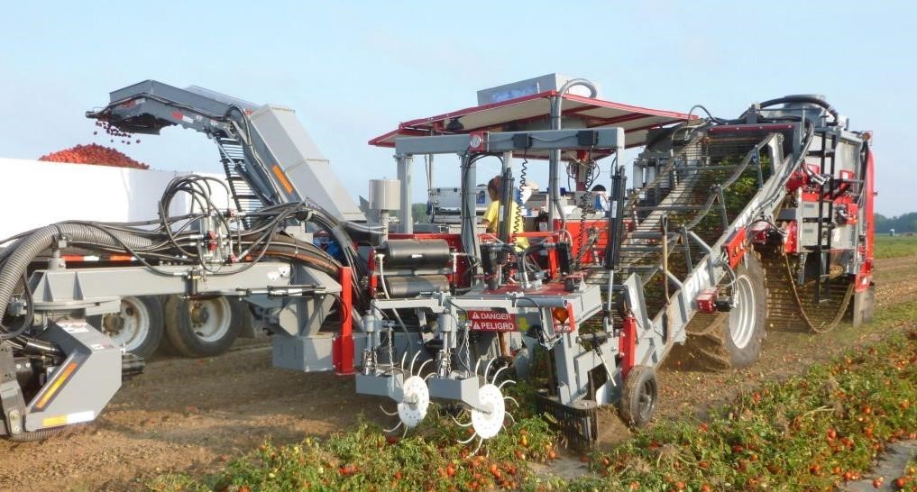2026 Pik Rite 240 Vegetable Equipment