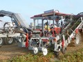 2026 Pik Rite 240 Vegetable Equipment