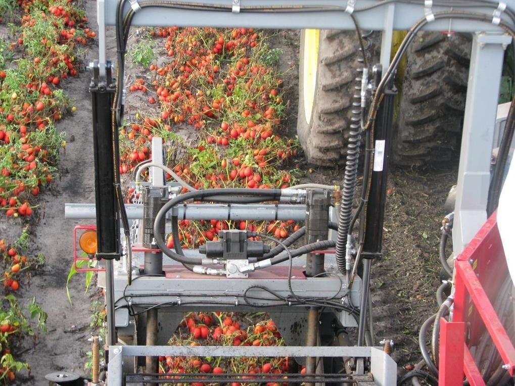 2026 Pik Rite 240 Vegetable Equipment