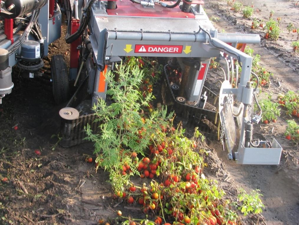 2026 Pik Rite 240 Vegetable Equipment