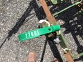  Black Hawk 2R Planter