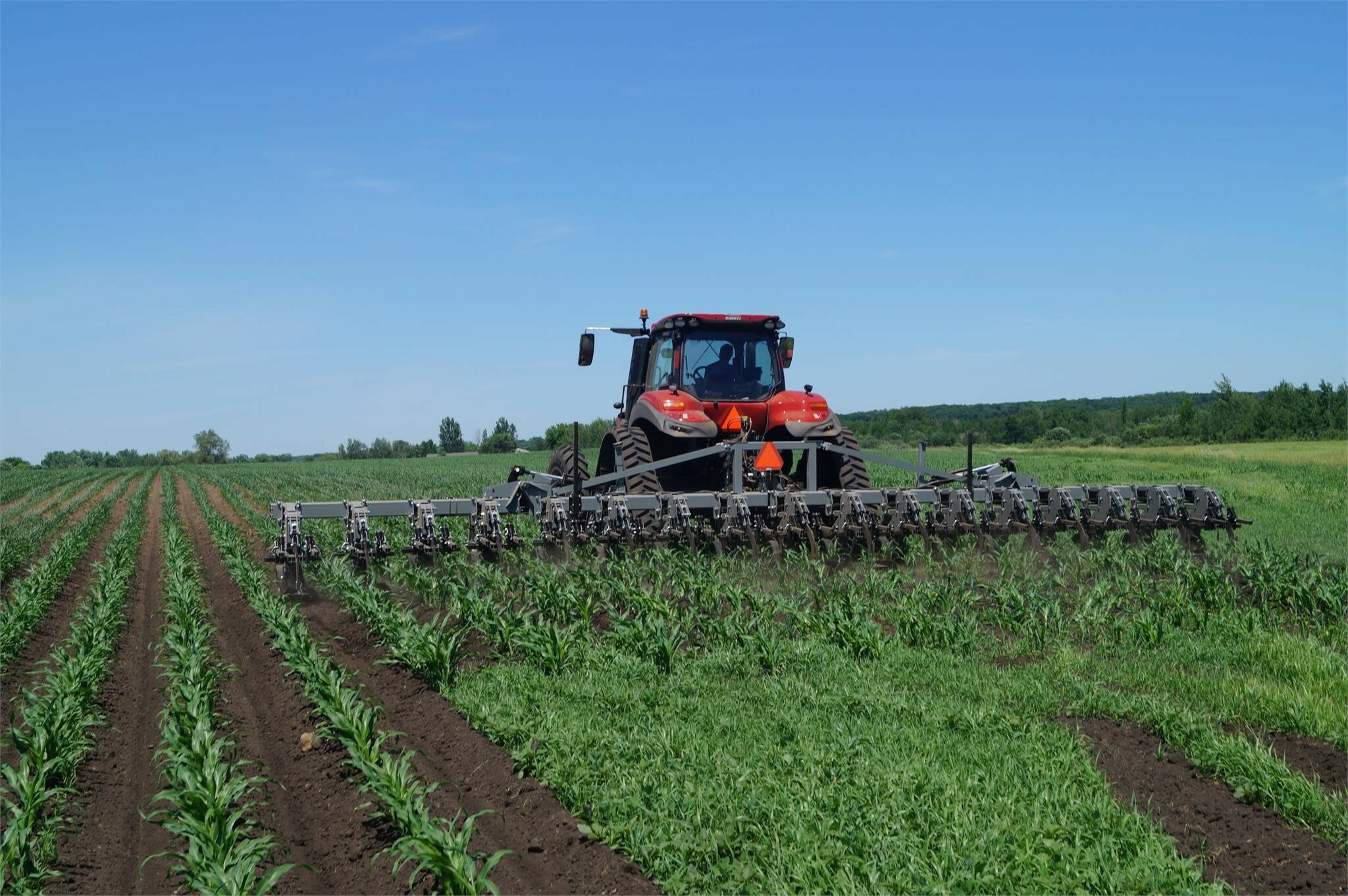 2026 Hiniker 6500 Cultivator