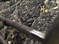 2012 Amity 2700 Beet Equipment