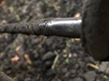 2012 Amity 2700 Beet Equipment