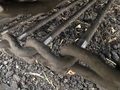 2012 Amity 2700 Beet Equipment