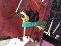  International Harvester 510 Drill
