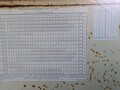  International Harvester 510 Drill