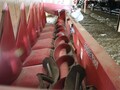 2010 Case IH 3408 Corn Head