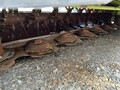 2017 Claas Disco 9200C AS Mower Conditioner