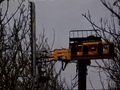 2022 Officina Meccanica BEG AF Special 3000 VI Forestry and Mining