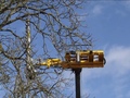 2022 Officina Meccanica BEG AF Special 3000 VI Forestry and Mining