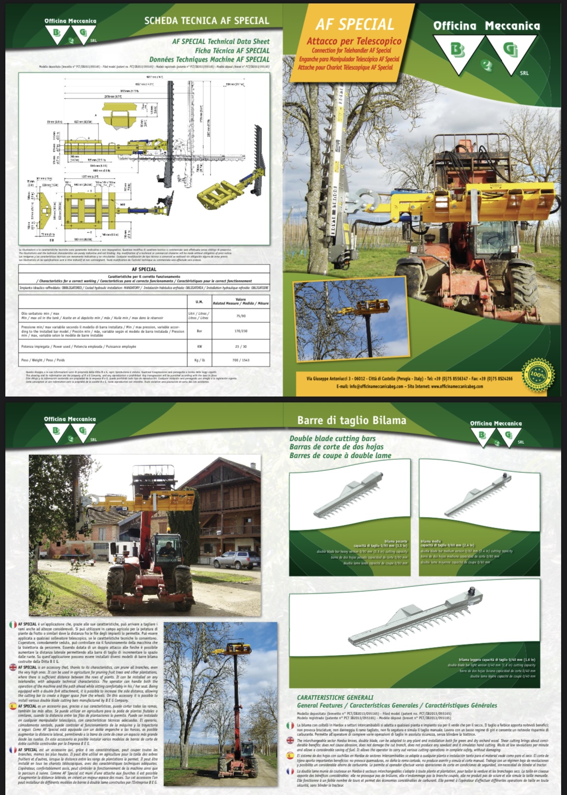 2022 Officina Meccanica BEG AF Special 3000 VI Forestry and Mining
