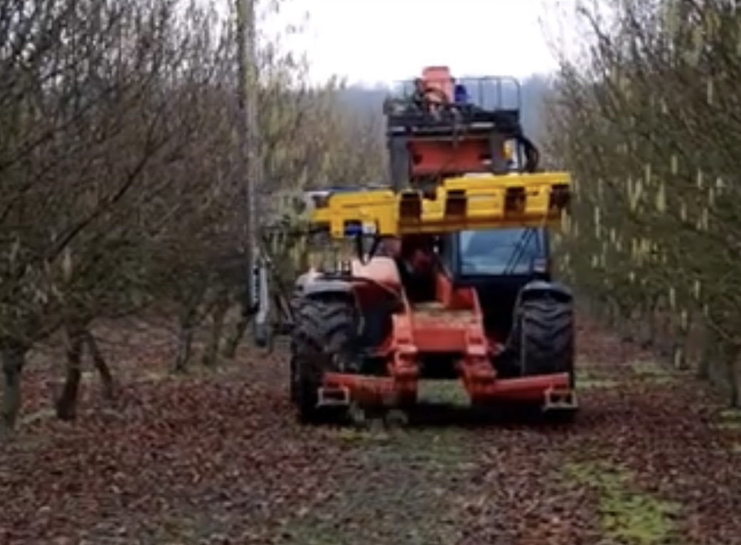 2022 Officina Meccanica BEG AF Special 3000 VI Forestry and Mining