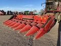 2023 Case IH 4408 Corn Head