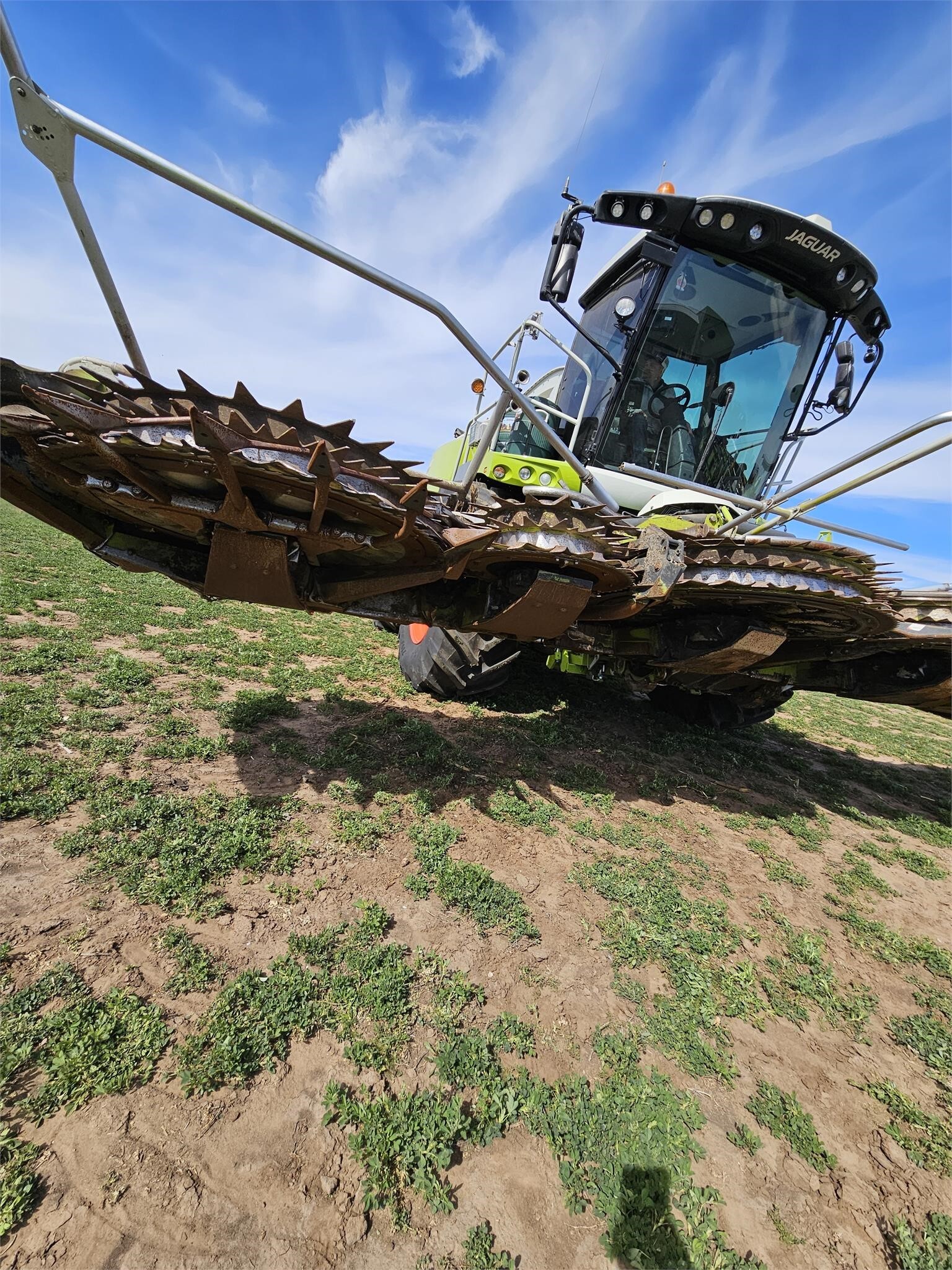 2016 Claas ORBIS 750 Forage Harvester Head