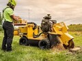 2025 Rayco RG37 Forestry and Mining