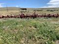  Case IH 4300 Field Cultivator