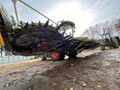 2011 Claas ORBIS 900 Forage Harvester Head