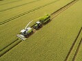 2022 Claas DIRECT DISC 600 Forage Harvester Head