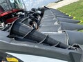 2019 Geringhoff PN1230F Corn Head