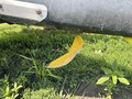 2019 Geringhoff PN1230F Corn Head
