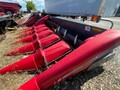 2011 Massey Ferguson 3000 Corn Head