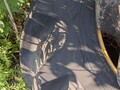  Goodyear 67x34.00-30 Wheels / Tires / Track