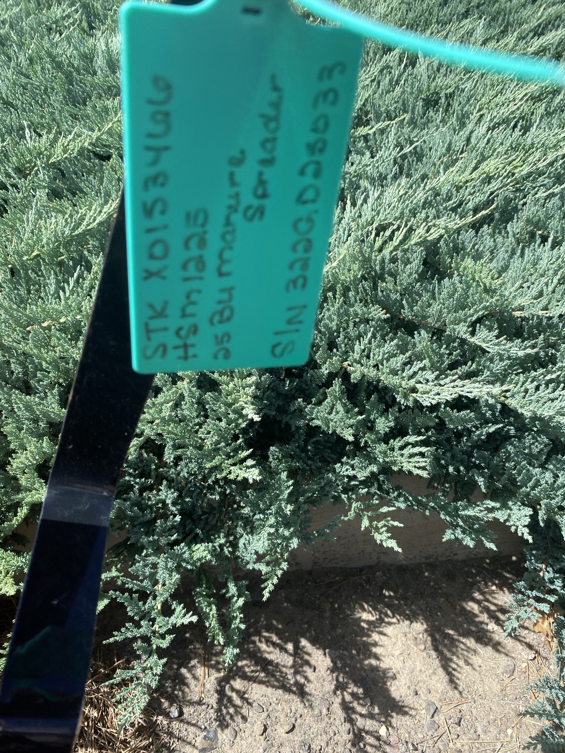 2023 H & S 1225 Manure Spreader