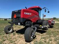 2023 Case IH WD2505 Self-Propelled Windrowers and Swather