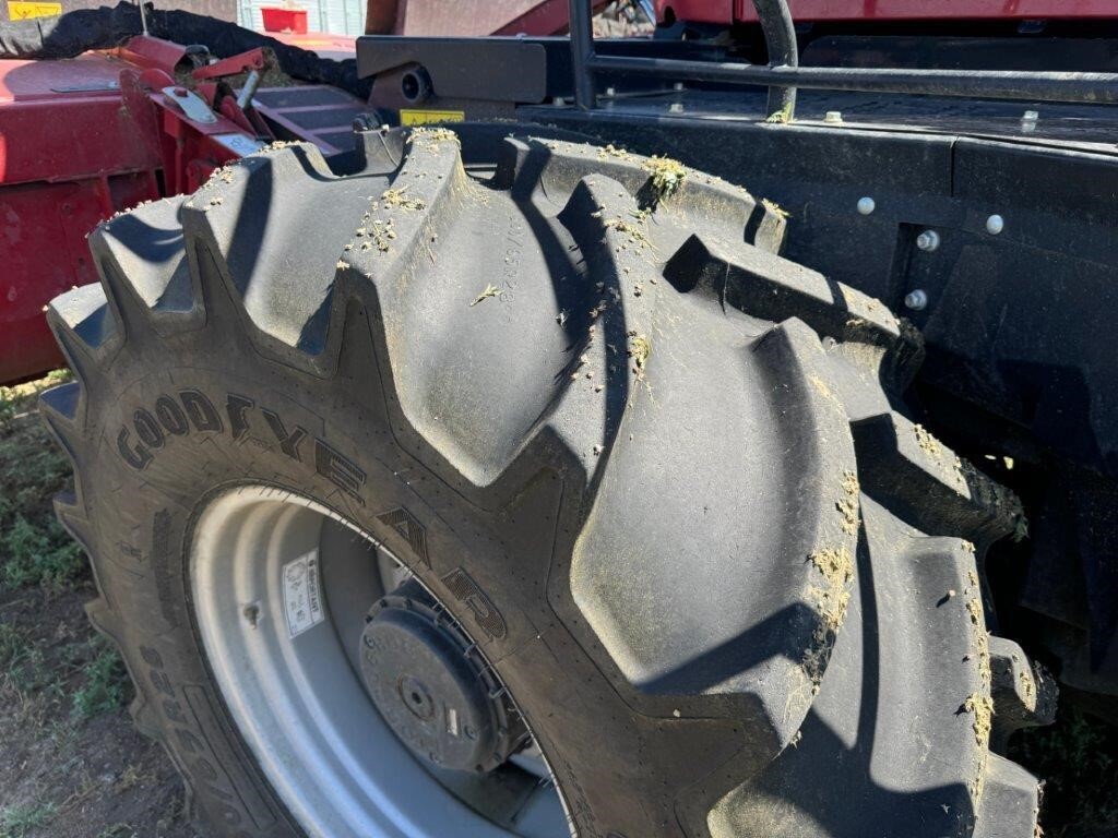 2023 Case IH WD2505 Self-Propelled Windrowers and Swather