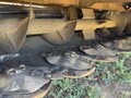 2023 Case IH WD2505 Self-Propelled Windrowers and Swather