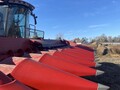 2021 Case IH 4412 Corn Head