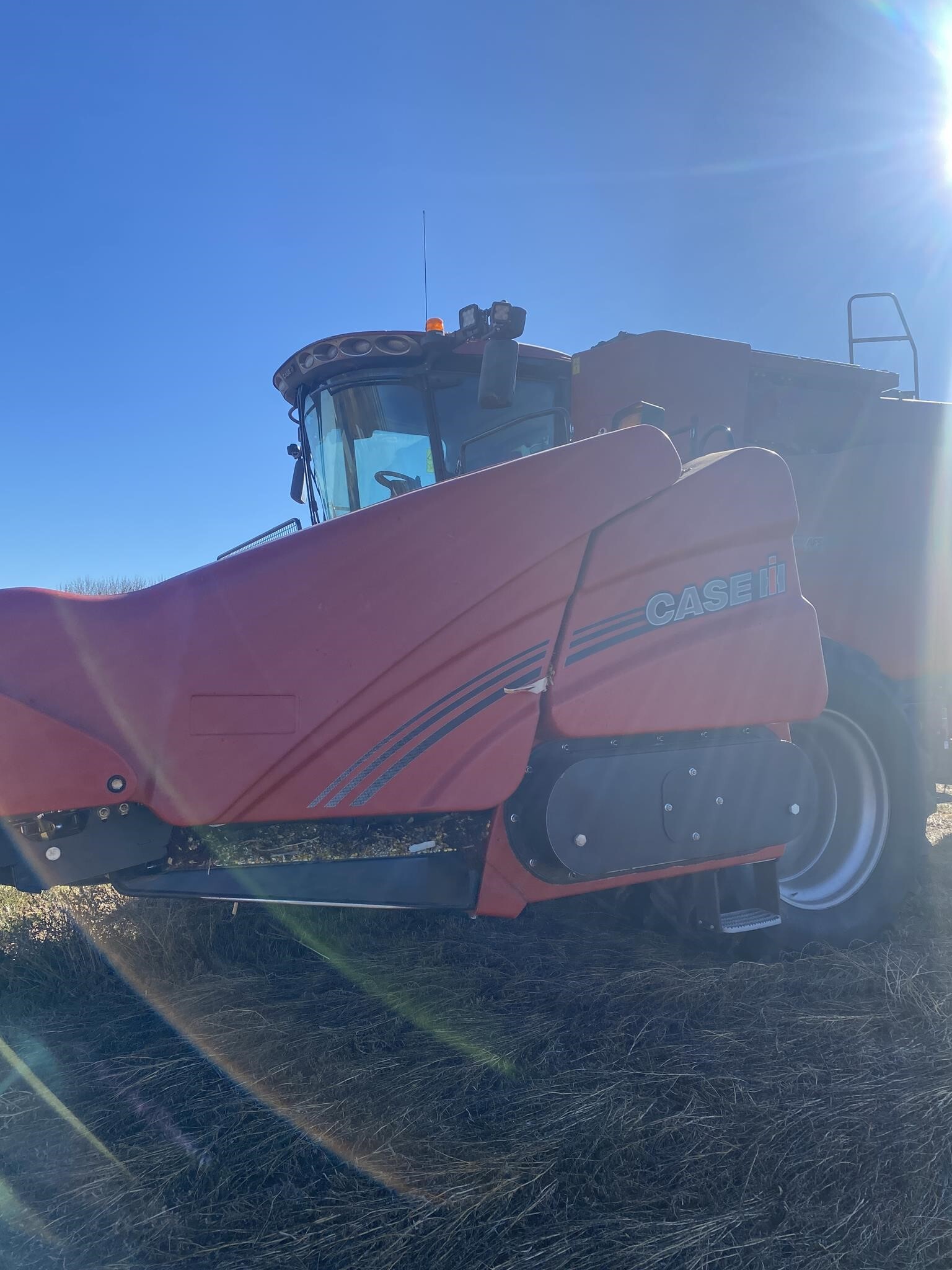 2021 Case IH 4412 Corn Head