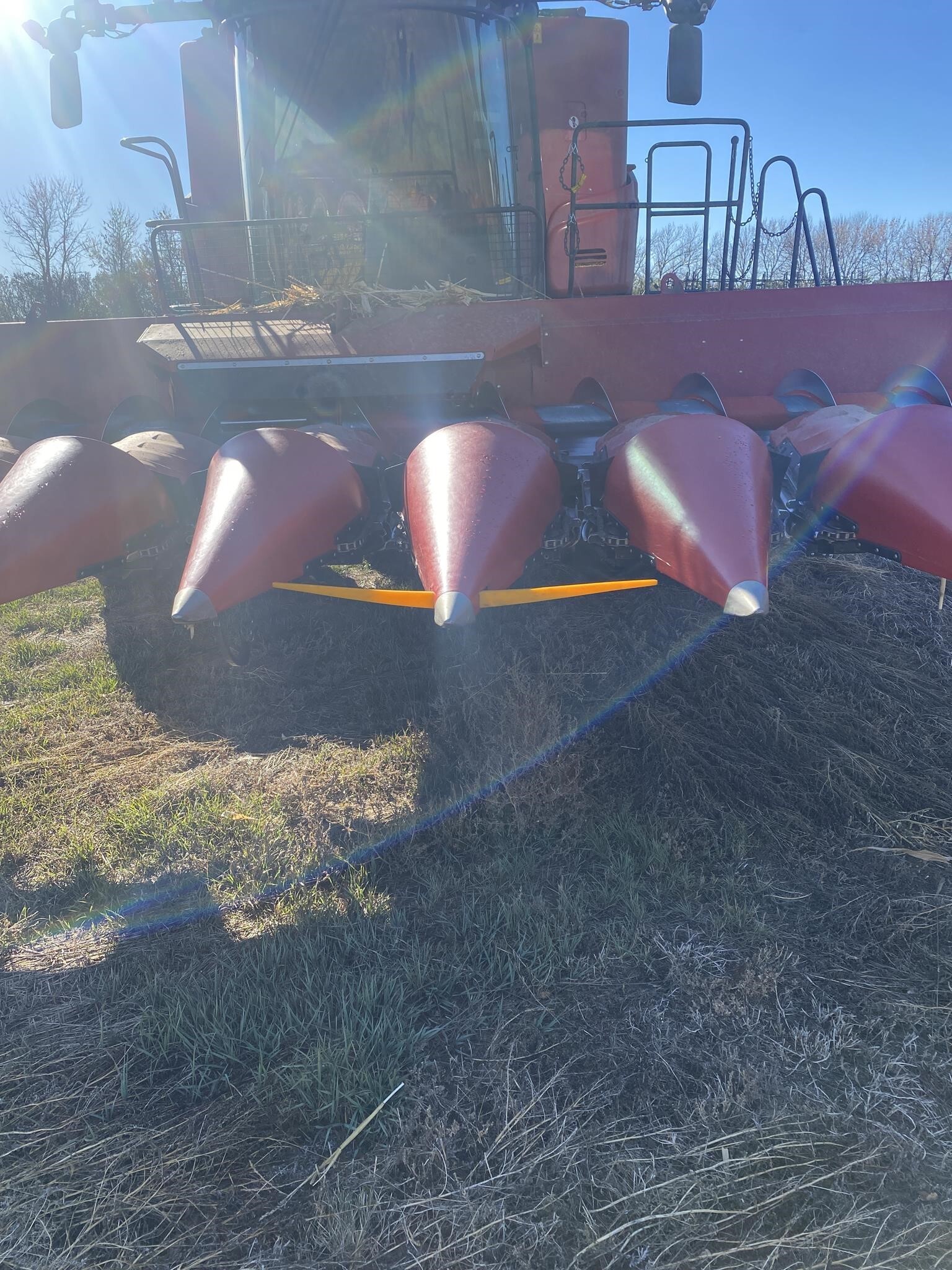 2021 Case IH 4412 Corn Head
