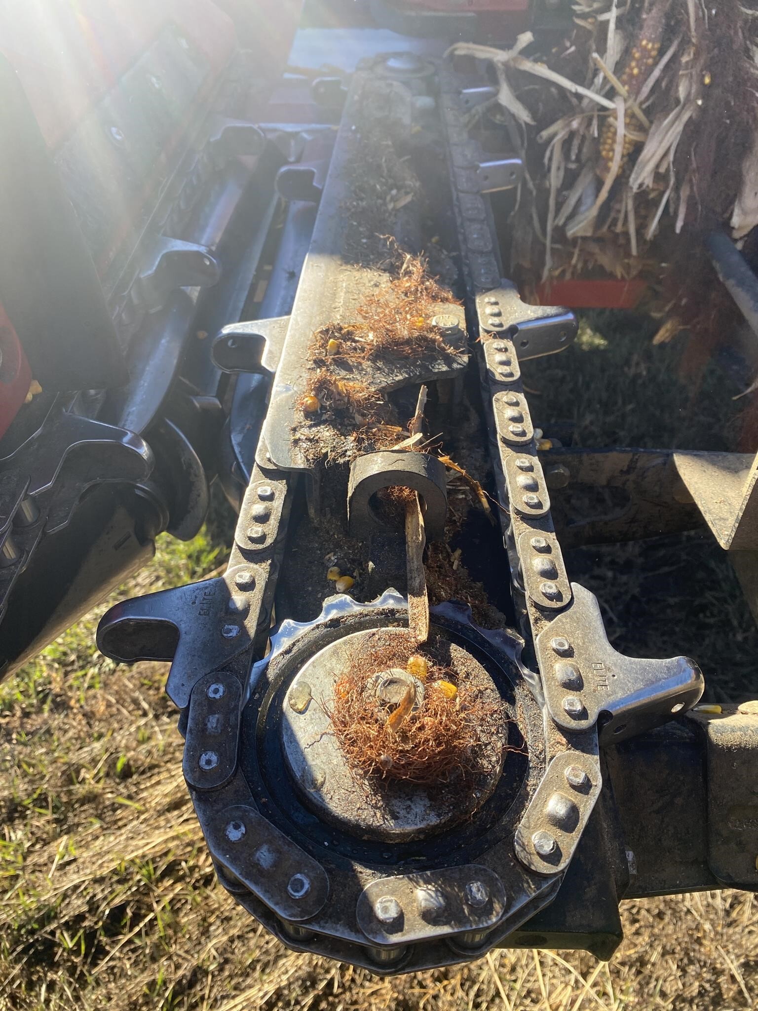 2021 Case IH 4412 Corn Head