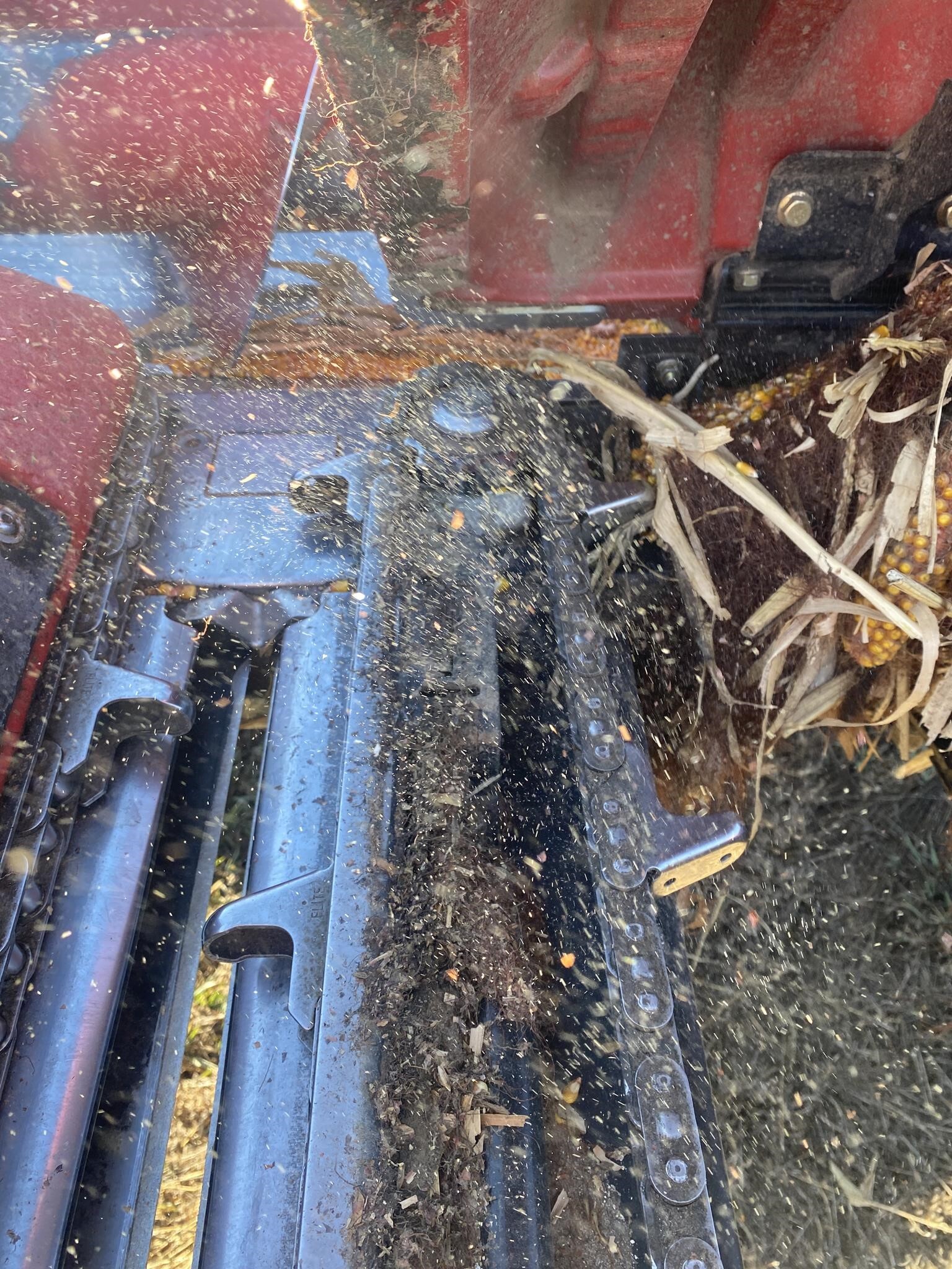 2021 Case IH 4412 Corn Head